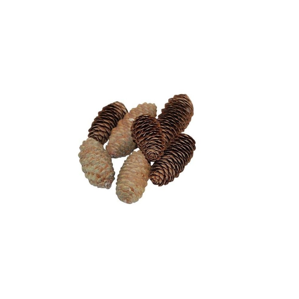 PIGNE CONFEZIONE GR.150 L.6 NATURALE